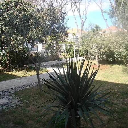 Apartmán Lipa